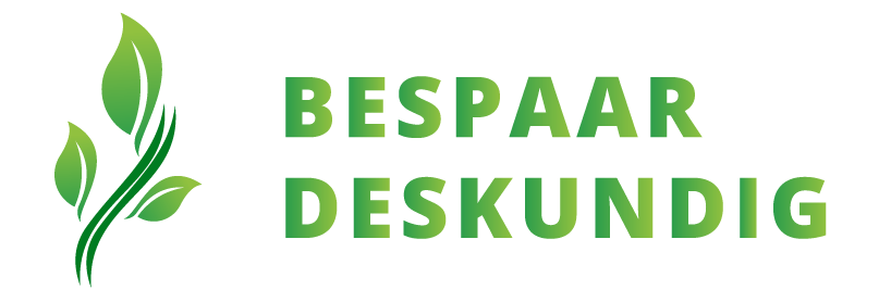 Bespaardeskundig